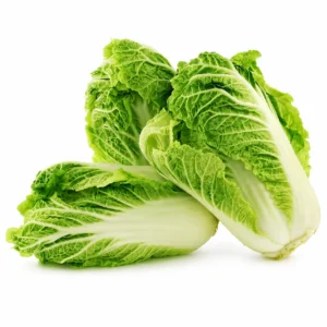 Chinese Cabbage