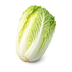 Napa Cabbage