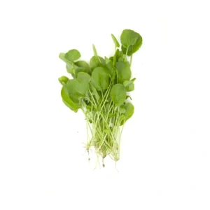Watercress, 24 ct