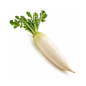 Daikon Radish