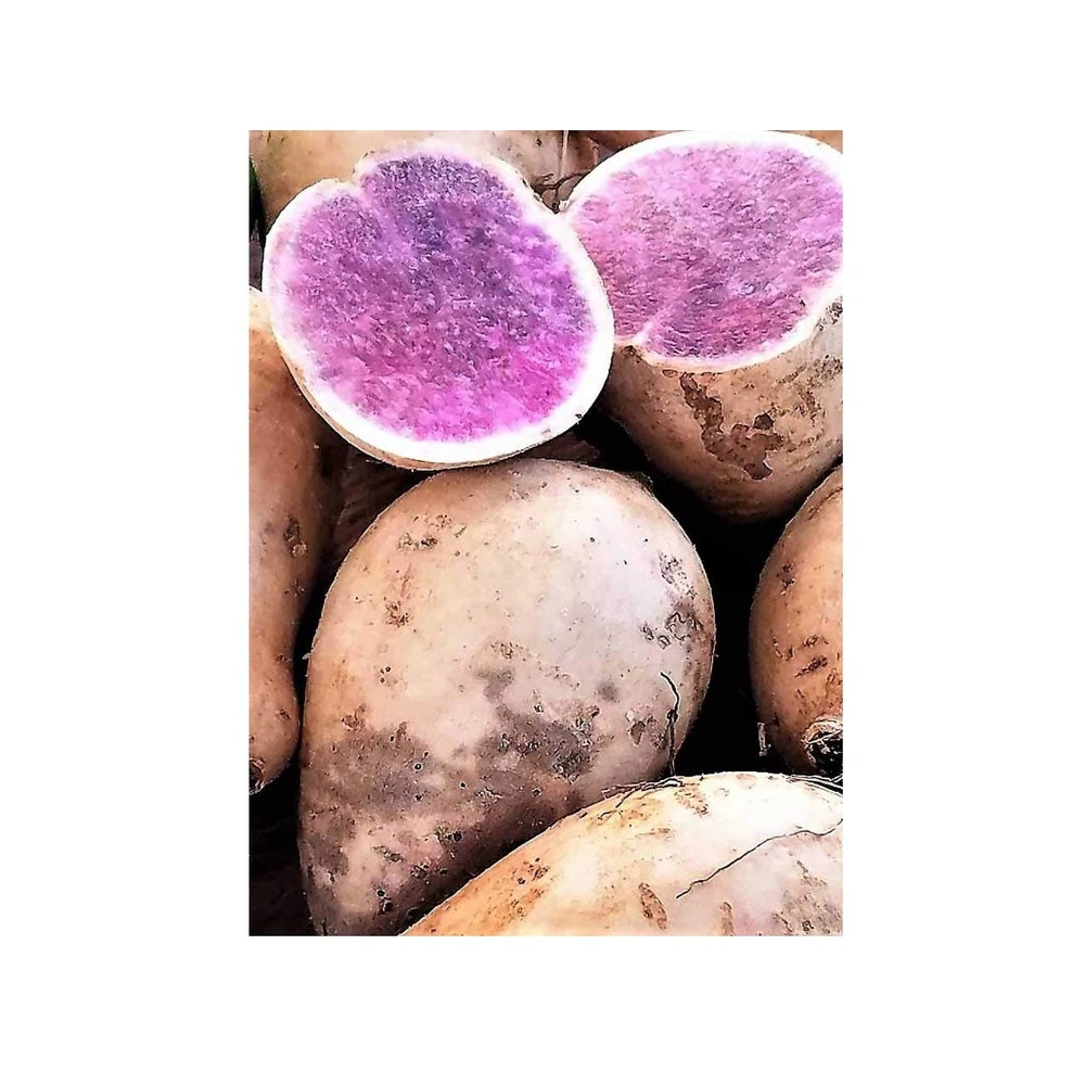 Hawaii Sweet Potato