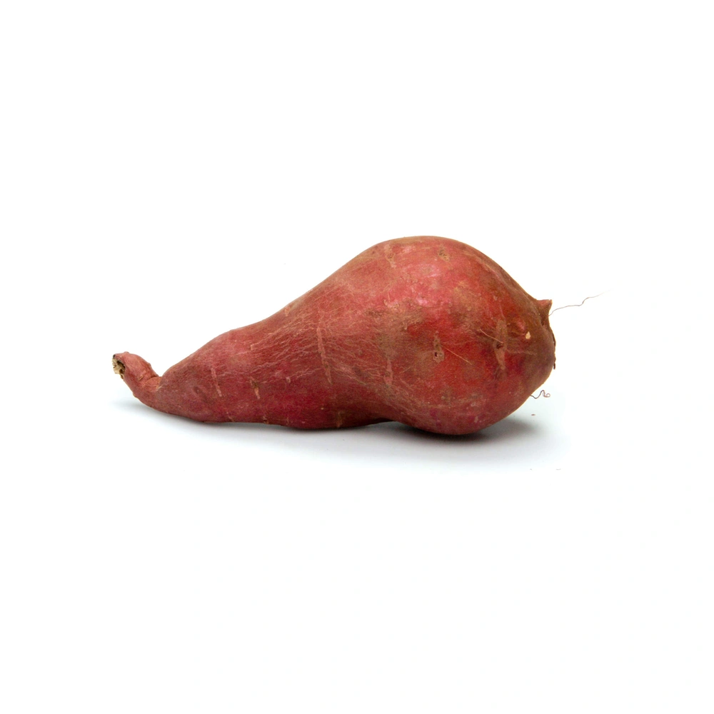 Red Sweet Potato