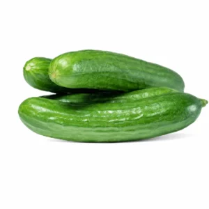 Persian Cucumber